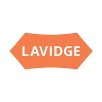 The Lavidge Company
